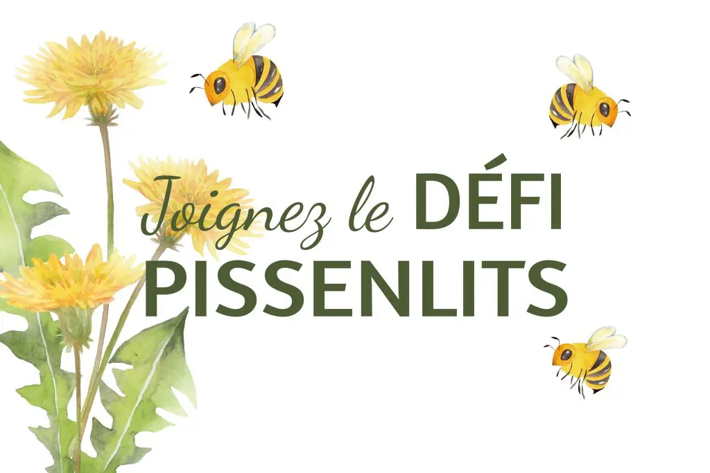 Le Défi Pissenlits est de retour!