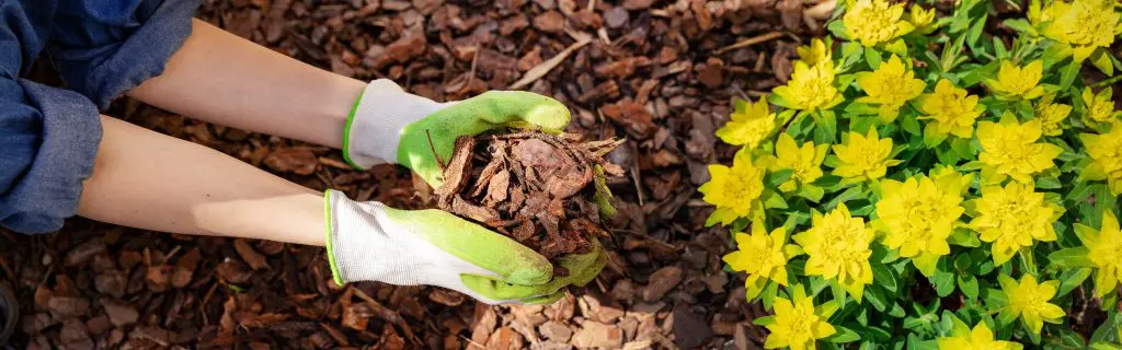 Copeaux de bois revalorisés : venez vous en procurer gratuitement !