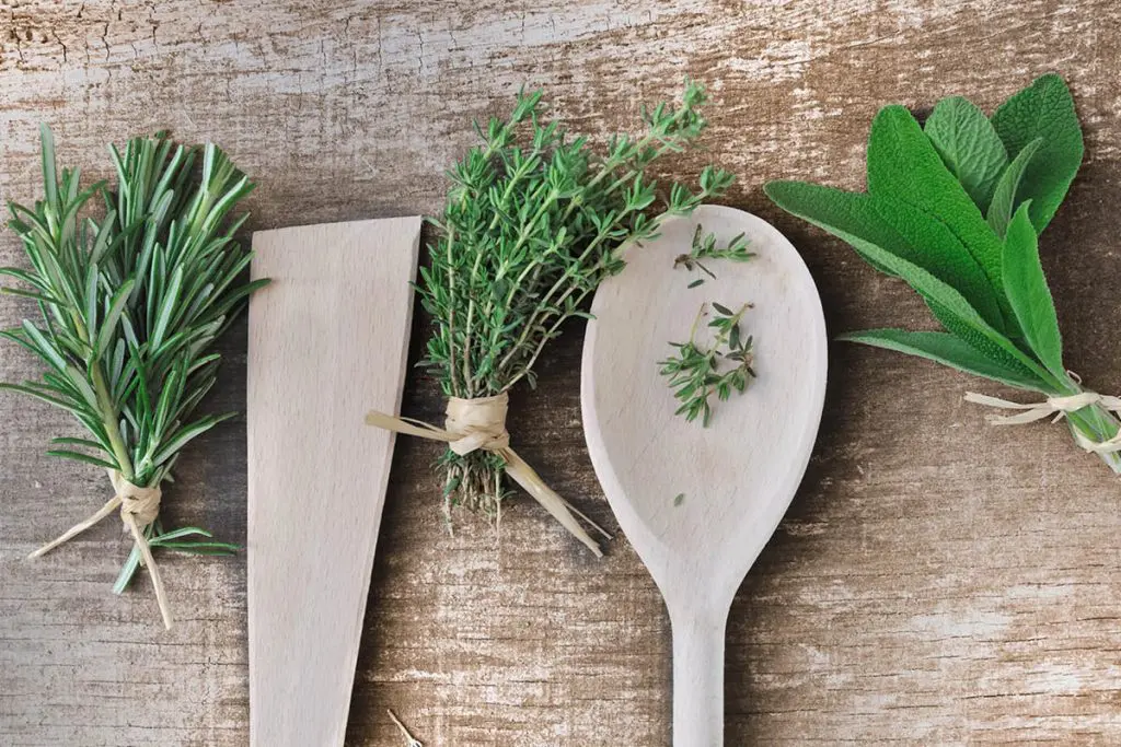 Odeurs et saveurs du potager