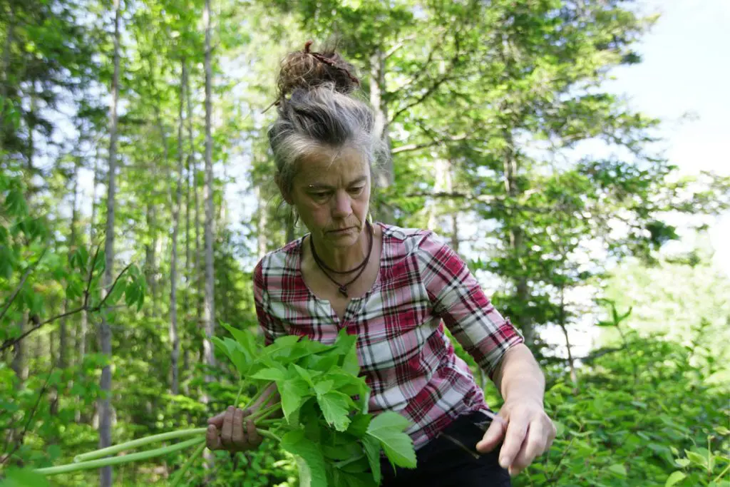 Diffusion du documentaire «&nbsp;La famille de la forêt&nbsp;» et discussion avec la réalisatrice Laura Rietveld
