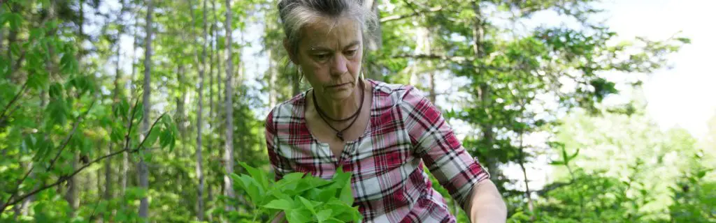 Diffusion du documentaire « La famille de la forêt »