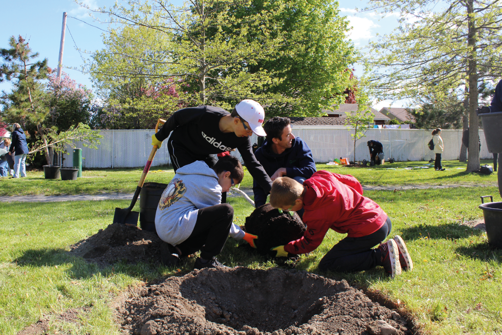 Plantation de 12 arbres au parc de la Chanterelle en partenariat avec le Centre de valorisation du bois urbain