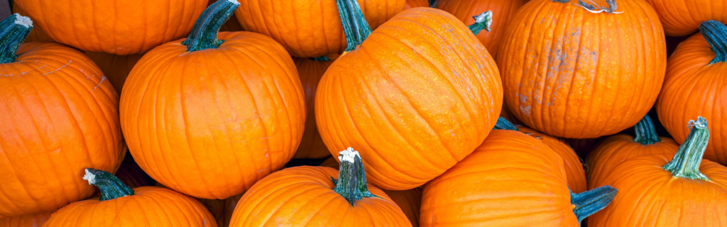 Que faire de votre citrouille après l’Halloween? Évitez le gaspillage alimentaire!